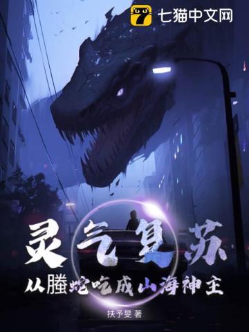 神州奇侠后传:大侠传奇