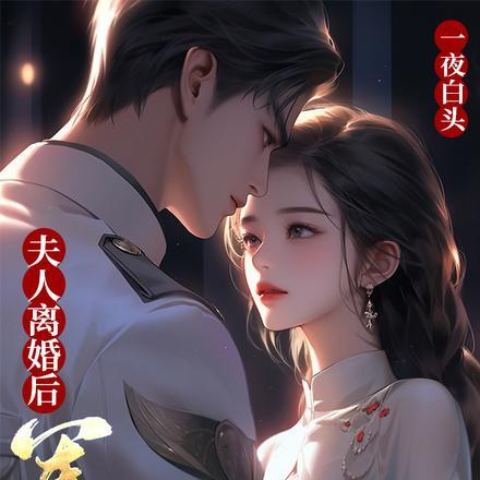 附加遗产(附加遗产原著小说)