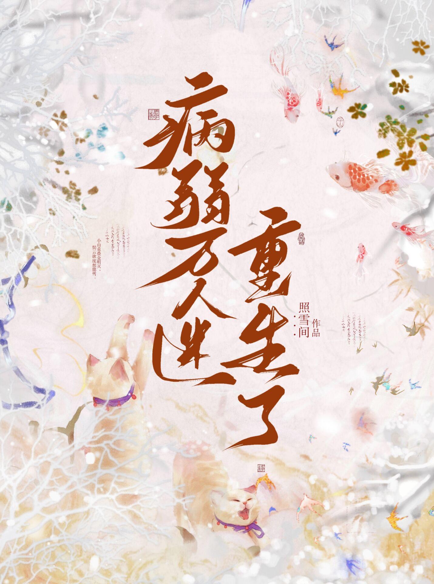 秦昊苏沐橙全文免费阅读小说