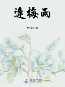 林九娘小说