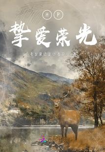 林九娘小说免费阅读全文