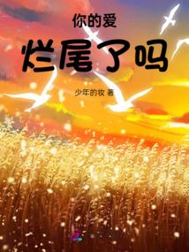 林九娘小说全文免费阅读完整版