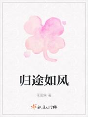 陆夭宁王全集小说阅读免费