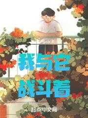 陆夭宁王全文免费阅读正版