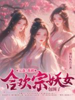 顾念陆寒沉