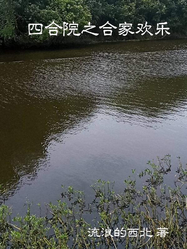 顾念陆寒沉全文免费阅读正版