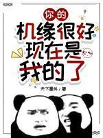 顾念陆寒沉全文阅读
