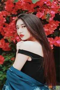 苏辰骆天妃的小说全文免费阅读无弹窗