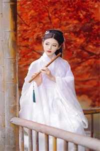 无辜小团子女主角有几个