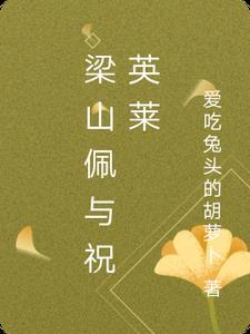 橙年岁月最新小说