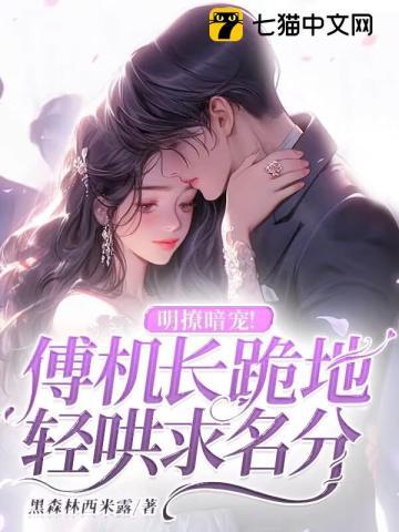真没用啊,Enigma先生