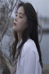 龙啸天下停更了吗