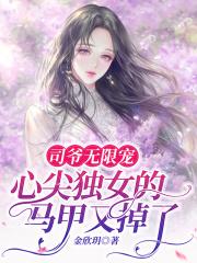 红颜泪:清代英雄儿女传