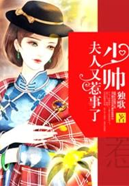 少帅,夫人又惹事了