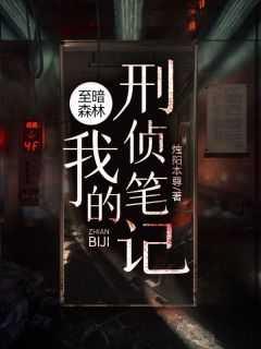 至暗森林:我的刑侦笔记