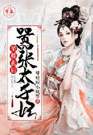 至尊玄后:嚣张太子妃