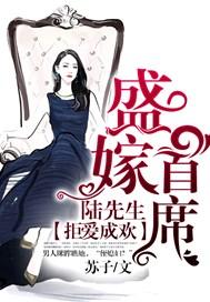 拒爱成欢,盛嫁首席陆先生