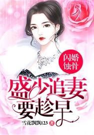 闪婚蚀骨:盛少追妻要趁早