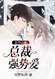 先孕后婚,总裁强势爱