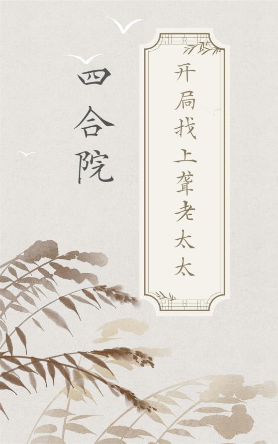 四合院:开局找上聋老太太
