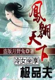 皇上也争宠:冷女坐享极品夫