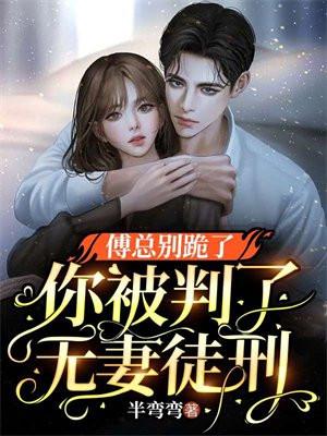 傅总别跪了,你被判了无妻徒刑