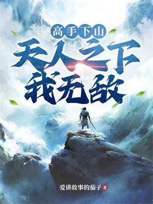 高手下山:天人之下我无敌