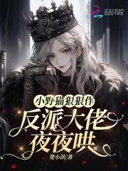 小野猫狠狠作,反派大佬夜夜哄