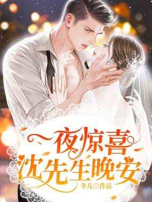 一夜惊喜:沈先生,晚安