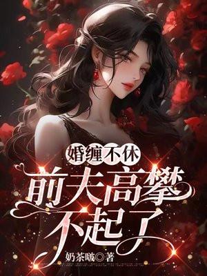 婚缠不休:前夫高攀不起了