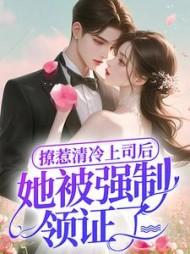 撩惹清冷上司后,她被强制领证了