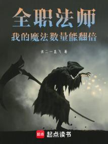 全职法师:我的魔法数量能翻倍