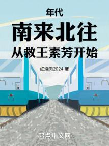 年代:南来北往,从救王素芳开始
