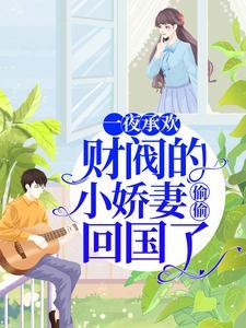 一夜承欢:财阀的小娇妻偷偷回国了