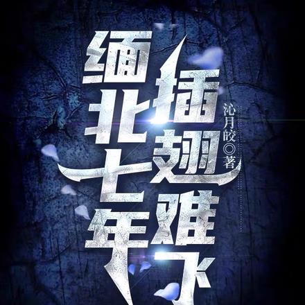 缅北七年,插翅难飞