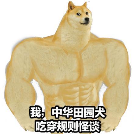 我,中华田园犬,吃穿规则怪谈