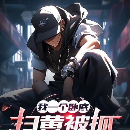 我一个卧底,扫黄被抓很合理吧