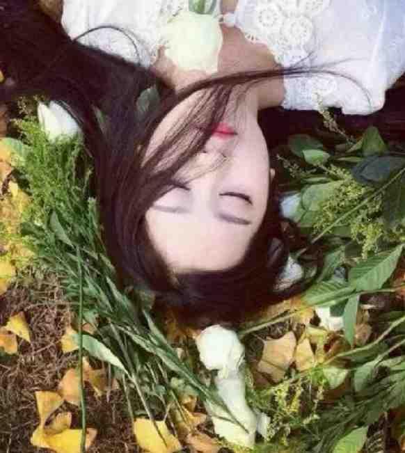 精品推介快穿西汉,我给汉武帝剧透