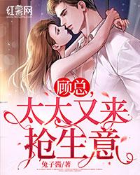 全文完结丫头别逃了!教授他超爱