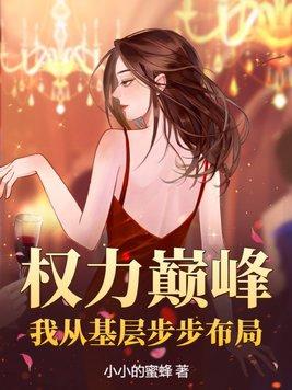 权力巅峰:我从基层步步布局