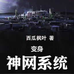 变身:神网系统