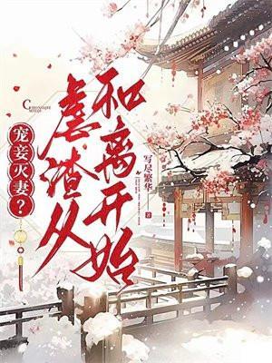 宠妾灭妻?虐渣从和离开始!