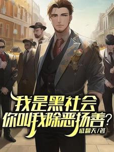 我是黑社会,你叫我除恶扬善?