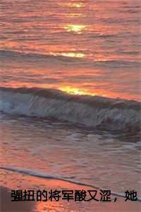 强扭的将军酸又涩,她不要了后续阅读