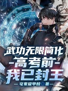 武功无限简化,高考前我已封王