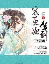 宸王妃嫁到:王爷请指教