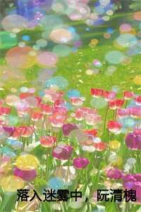 落入迷雾中,阮清槐
