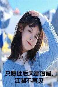 只愿此后天高海阔,江湖不再见小说