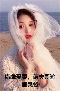 错虐爱妻,前夫哥追妻哭惨全文txt