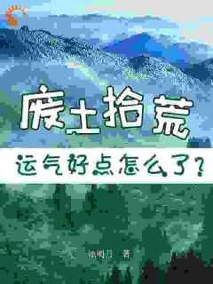 废土拾荒,运气好点怎么了?